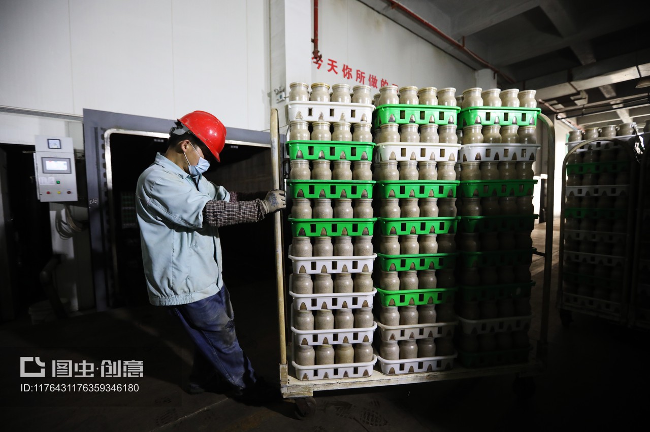 獨家:日產金針菇80噸 這個基地成江蘇之最