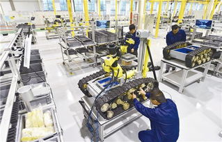 智能制造新模式 特種機(jī)器人制造智能化工廠 項(xiàng)目順利通過(guò)驗(yàn)收