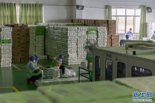 紙 短情長(zhǎng) 解碼現(xiàn)代林產(chǎn)業(yè)綠色發(fā)展的 云景實(shí)踐